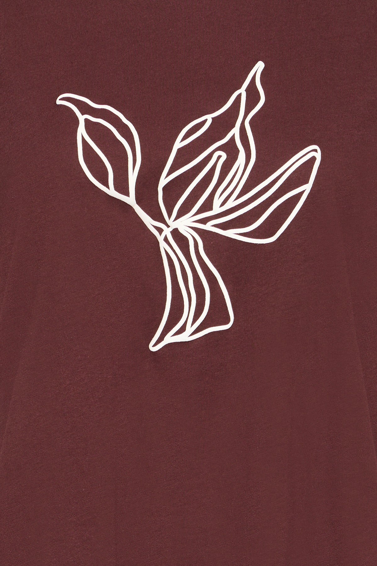 Fransa FRARIELLA TEE 1