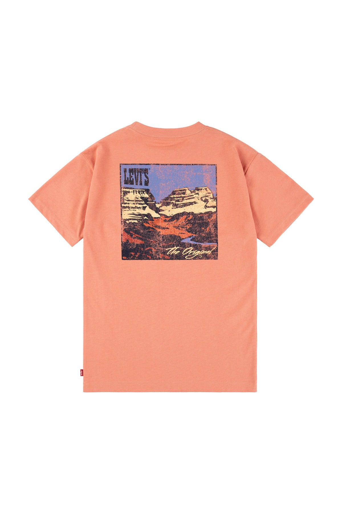 LEVIS BOY CANYON LANDSCAPE TEE