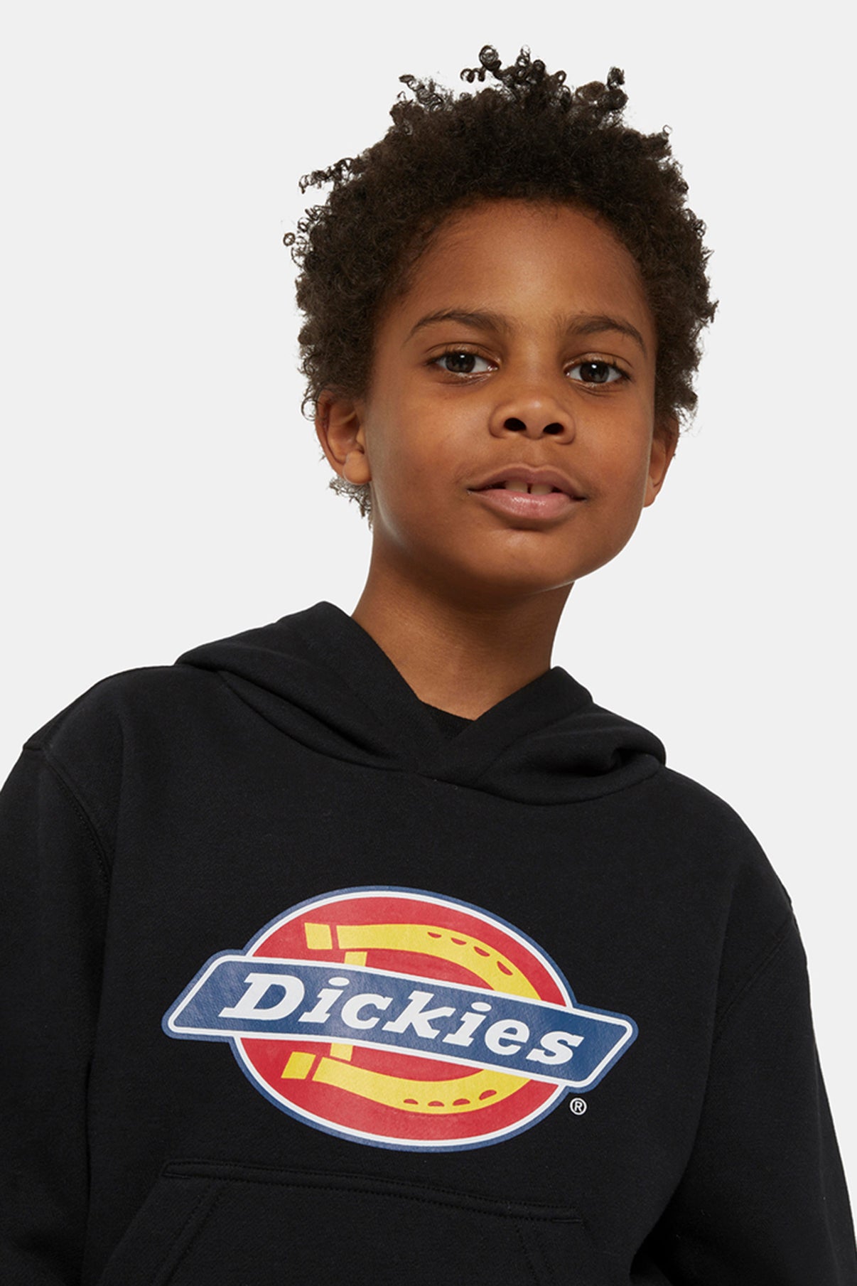 Dickies HOODIE ICON LOGO