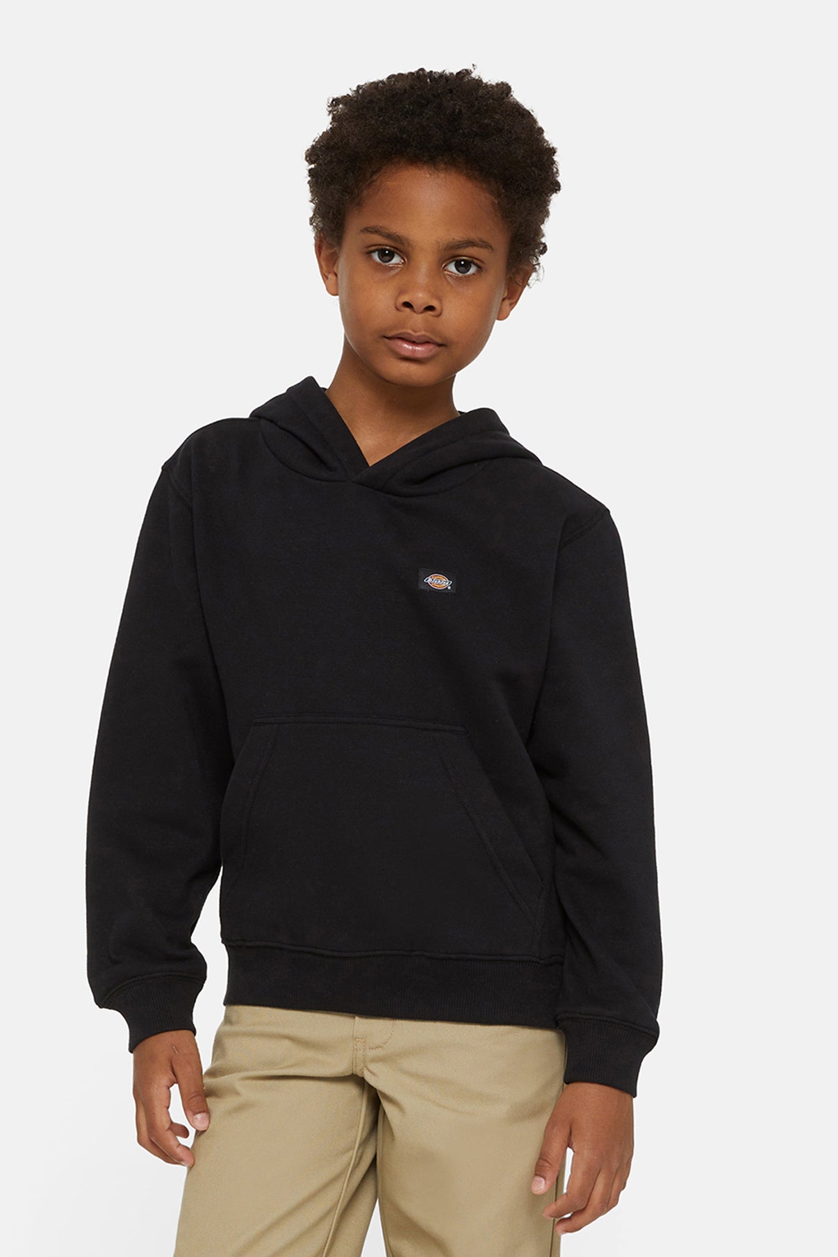 Dickies HOODIE OAKPORT