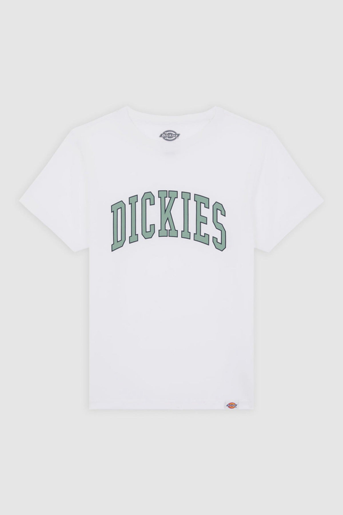 Dickies AITKIN TEE SS K WHITE