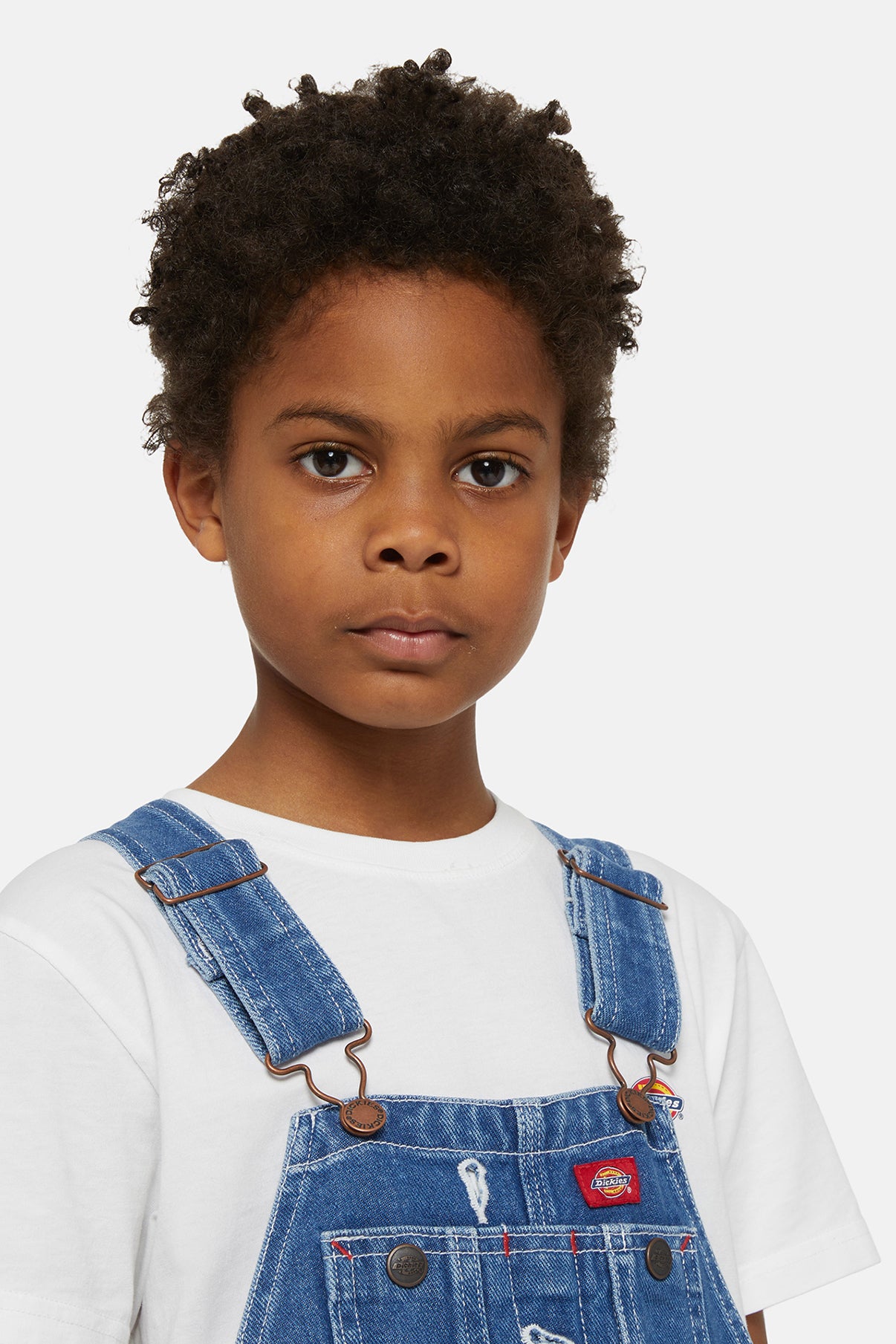 Dickies Overalls Denim Bib