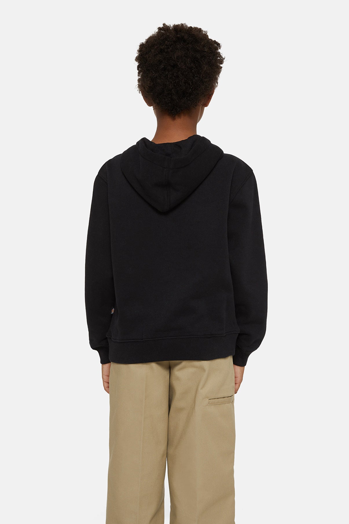 Dickies HOODIE OAKPORT