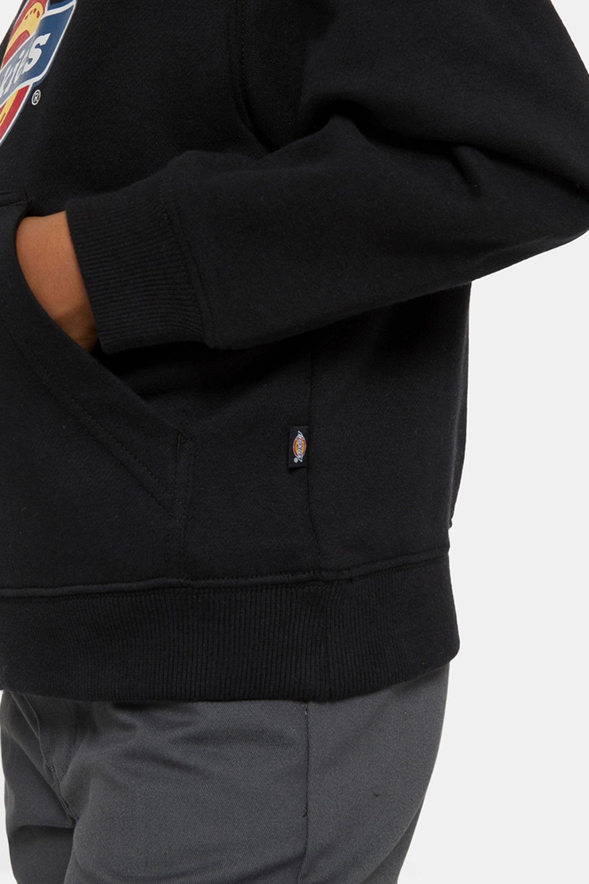 Dickies HOODIE ICON LOGO