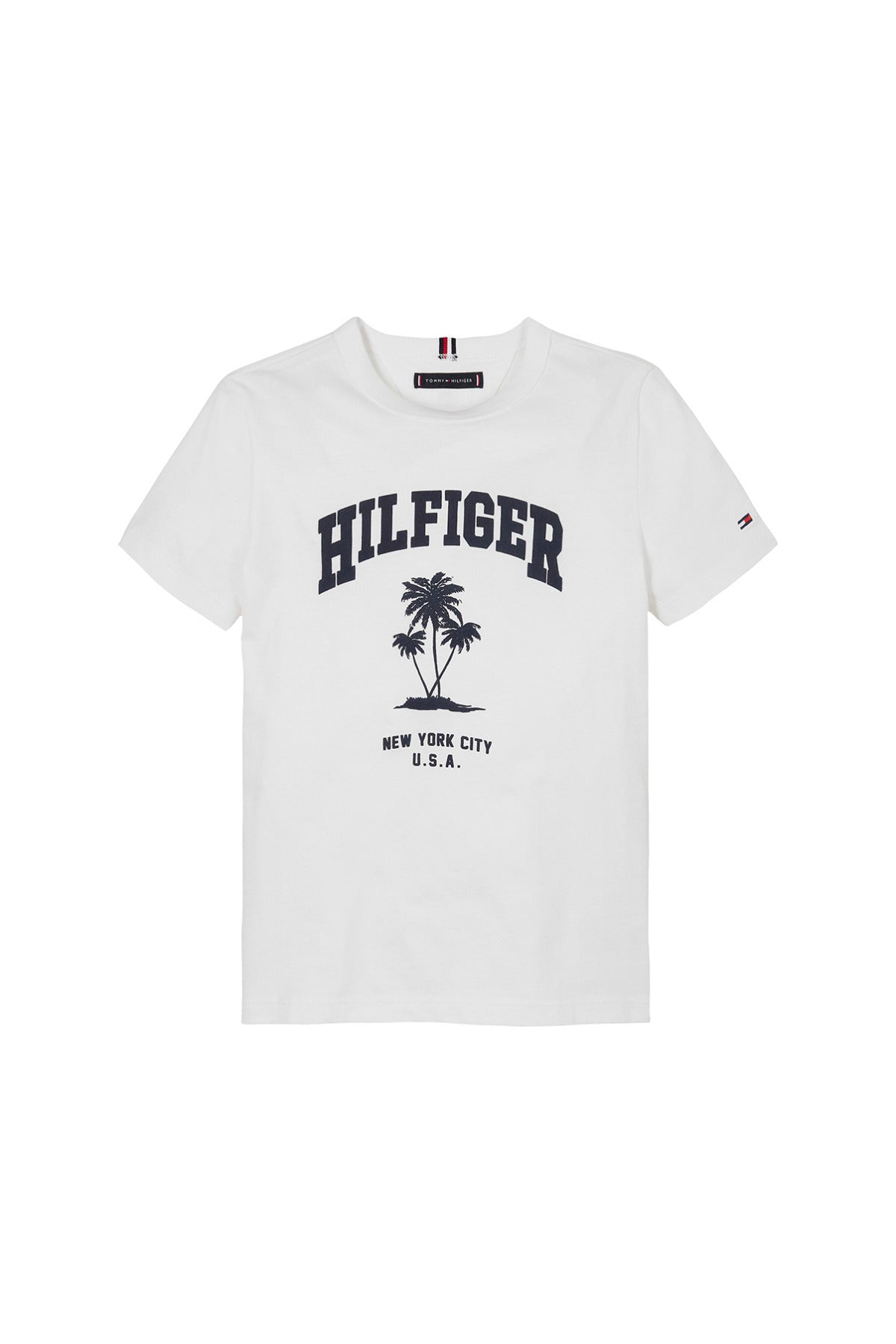 Tommy Hilfiger Boy HILFIGER PALM PRINT TEE SS