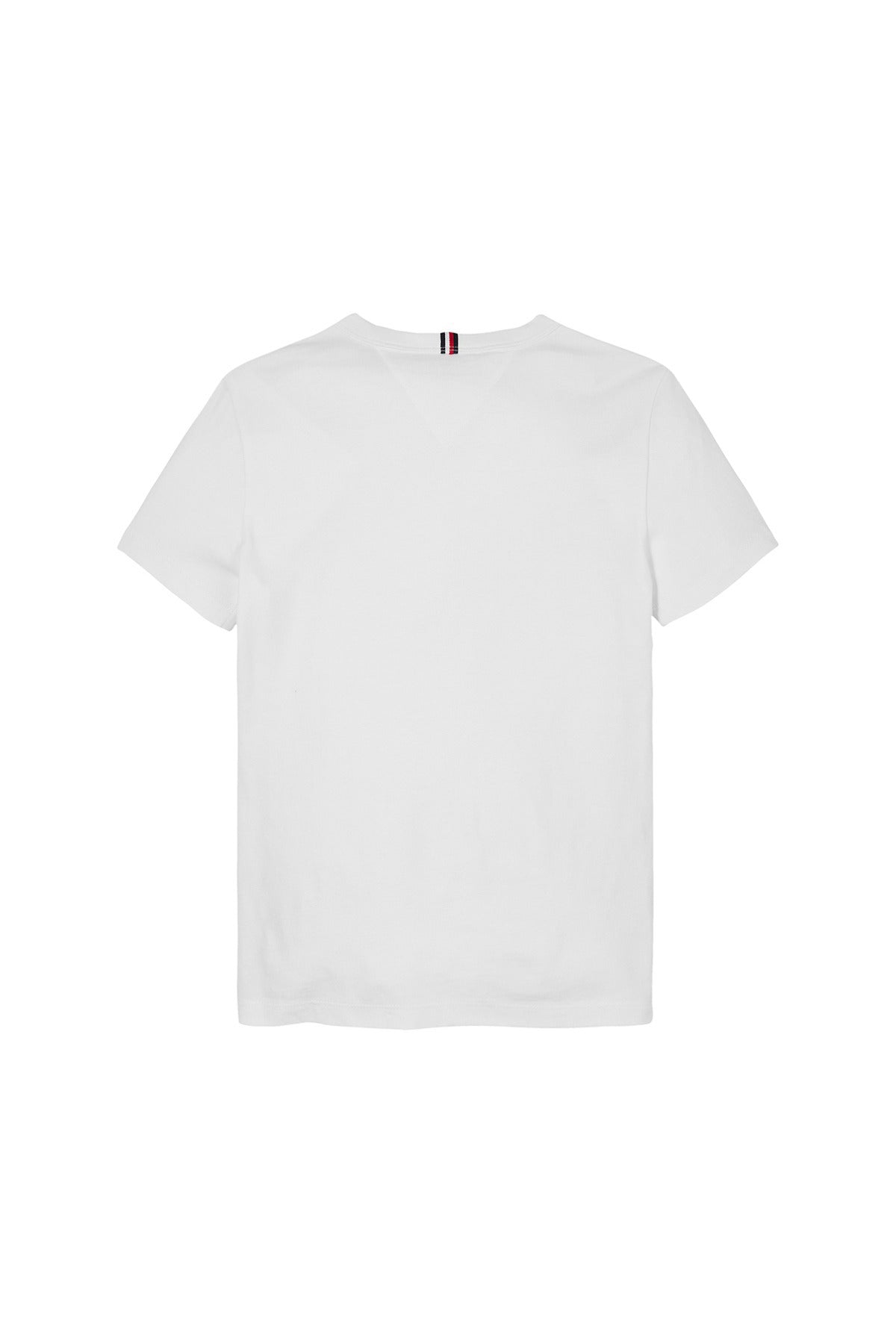 Tommy Hilfiger Boy HILFIGER PALM PRINT TEE SS