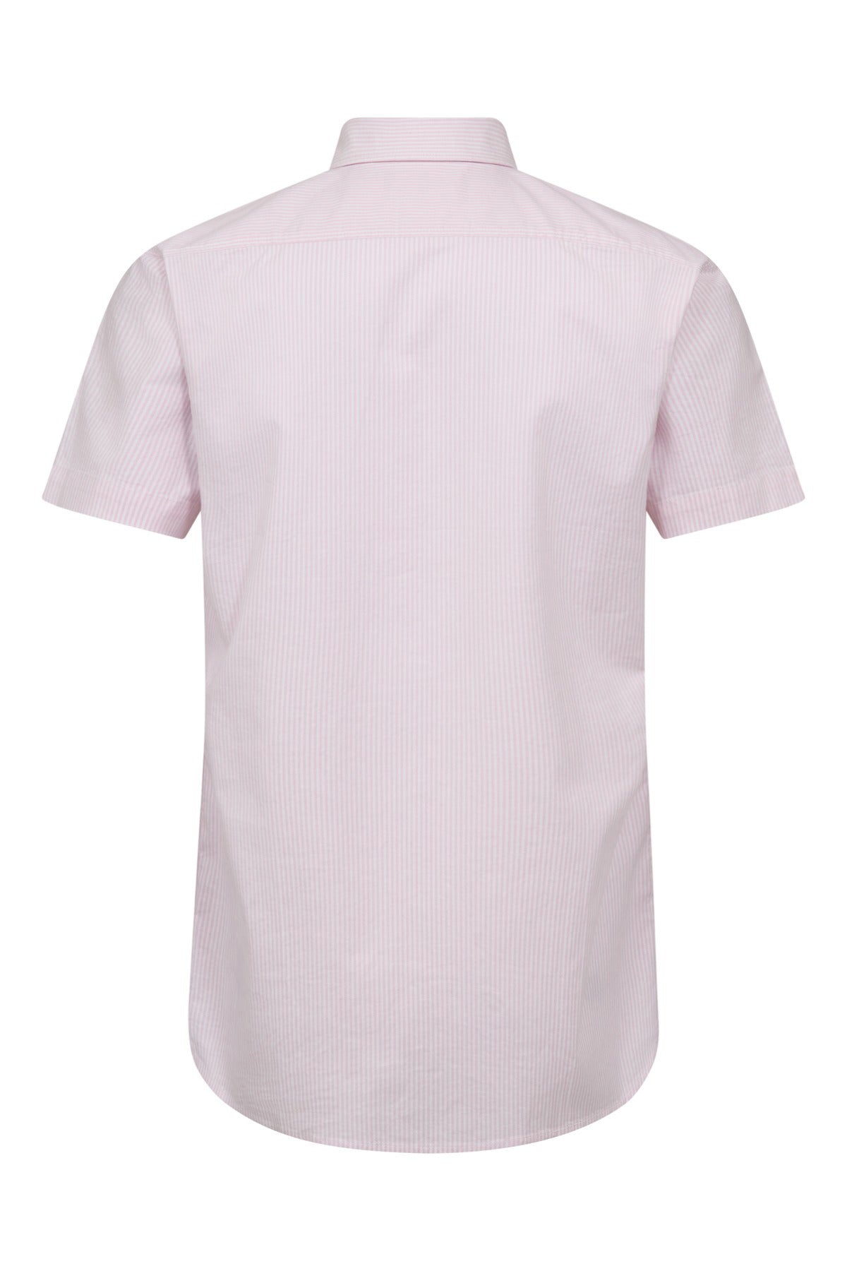 Porto SS - Kortærmet oxford skjorte