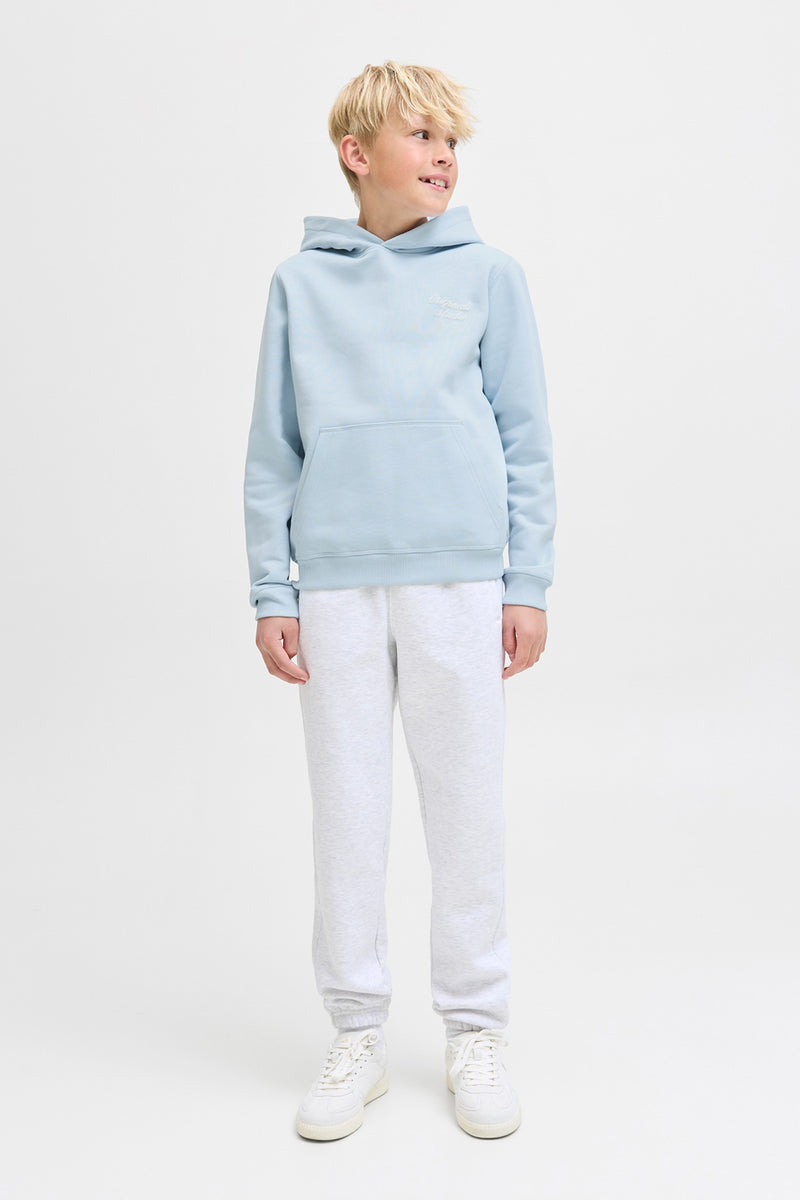 Jack & Jones Junior JORNORREBRO TYPO BACK SWEAT HOOD SN JNR