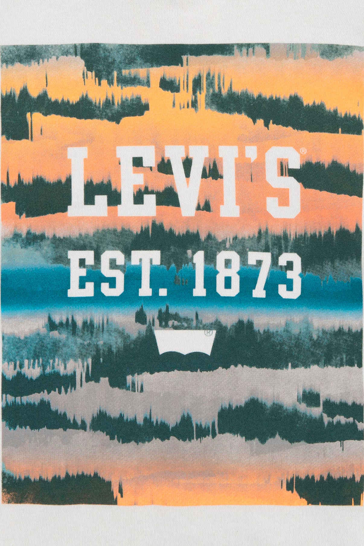 LEVIS BOY Sweatshirt Landscape Box