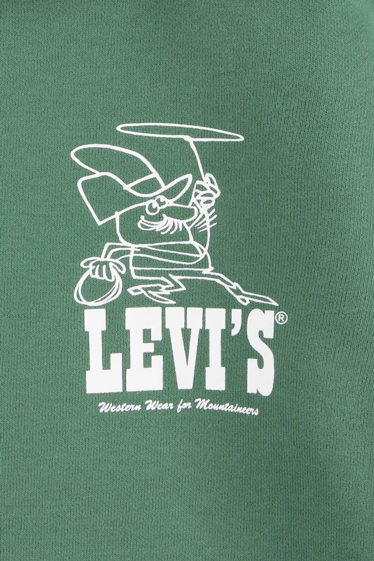 LEVIS BOY SWEATSHIRT LASSO IT UP HOODIE