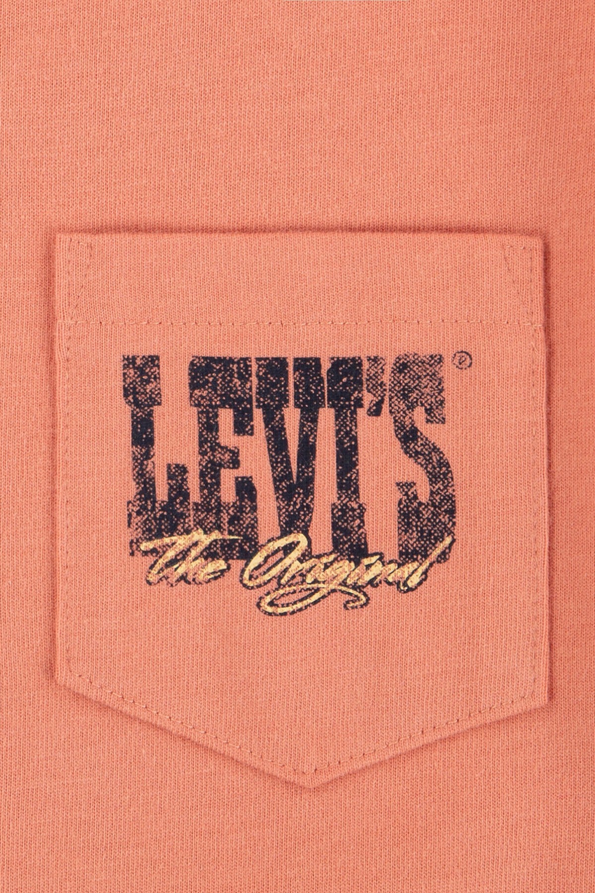 LEVIS BOY CANYON LANDSCAPE TEE