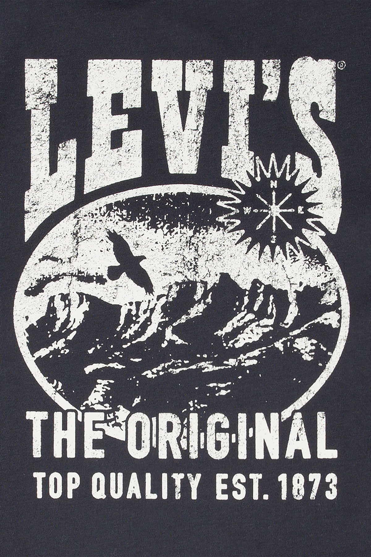 LEVIS BOY LVB VALLEY VIEW TEE