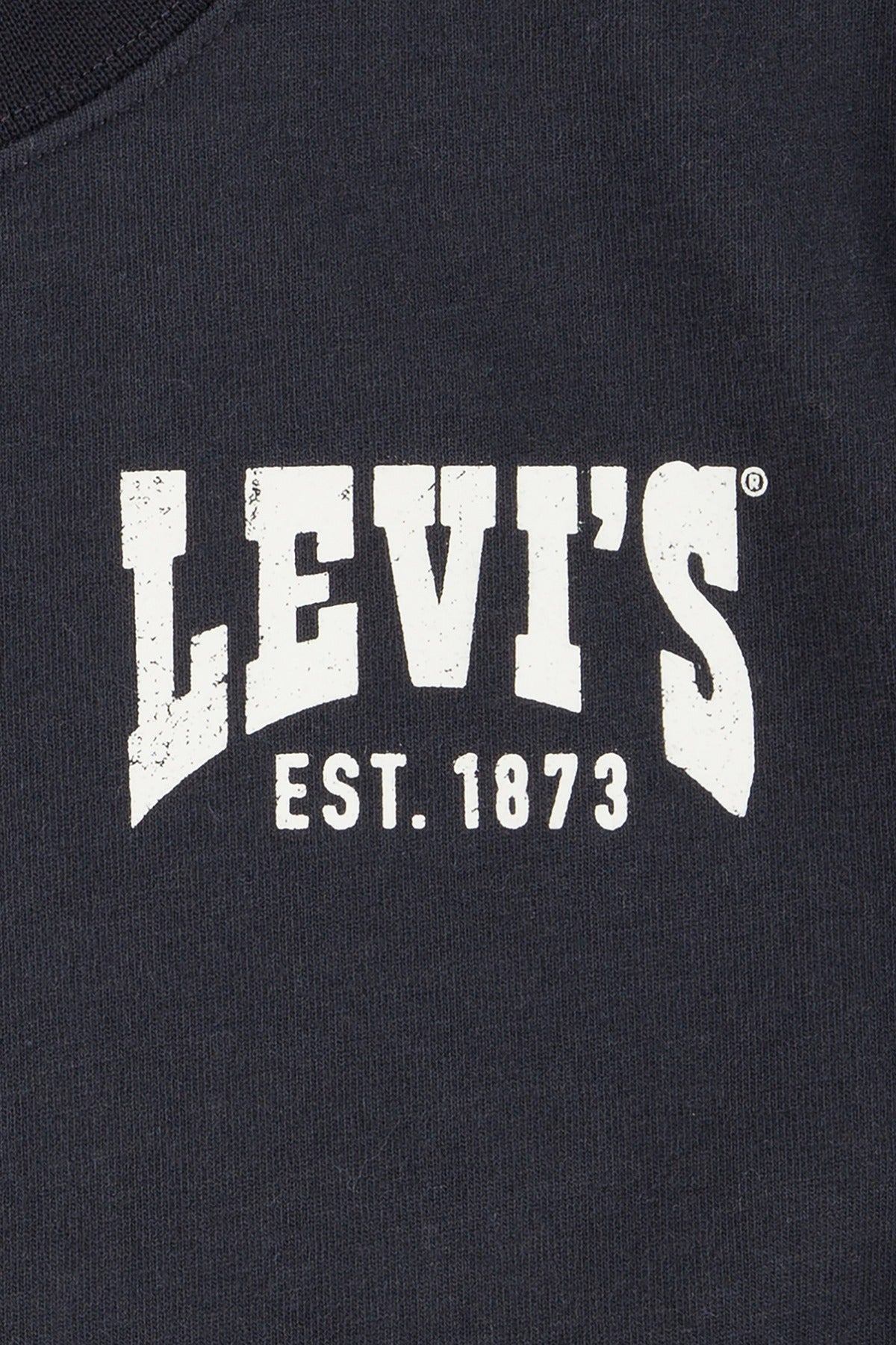 LEVIS BOY LVB VALLEY VIEW TEE