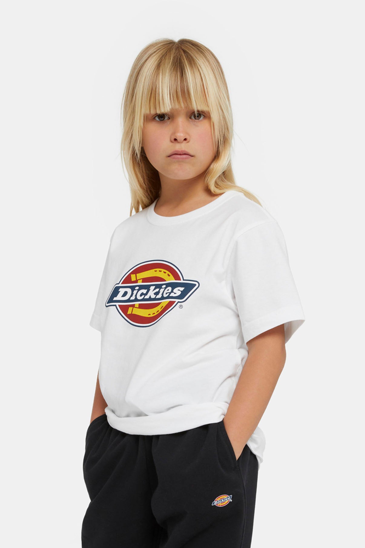 Dickies TEE ICON LOGO