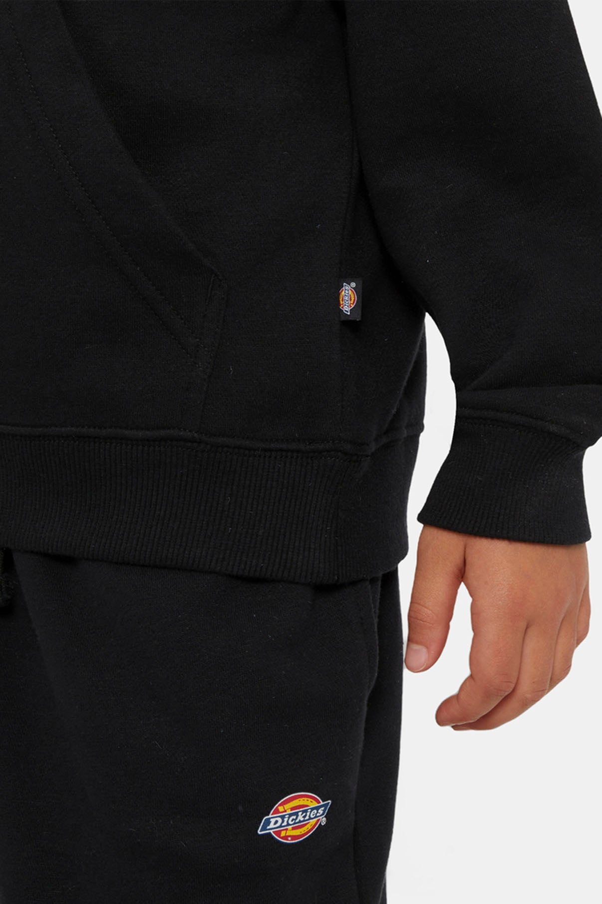 Dickies HOODIE ICON LOGO