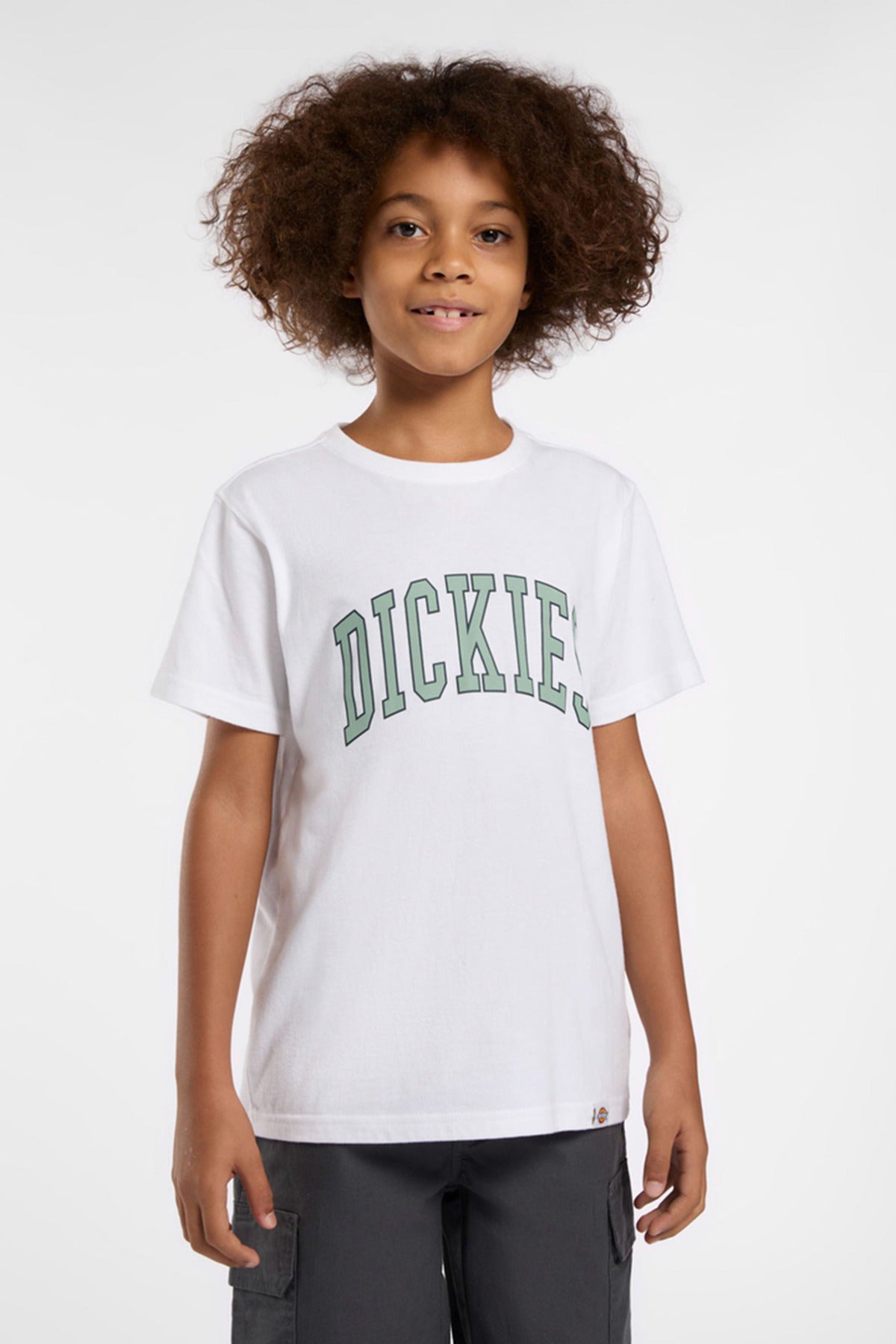 Dickies AITKIN TEE SS K WHITE