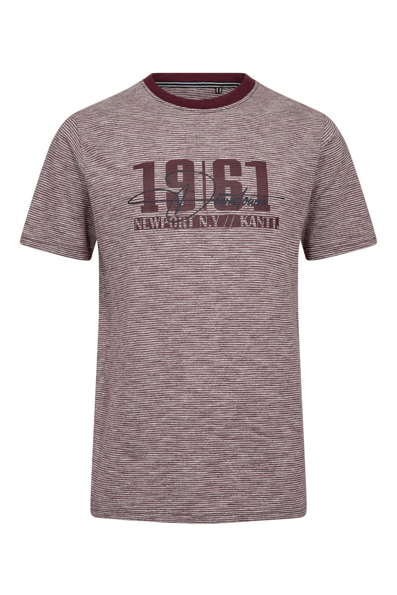 Alvin print - Stribet T-shirt med print