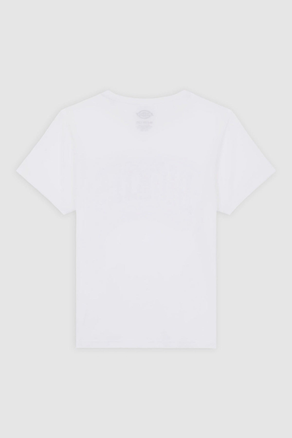 Dickies AITKIN TEE SS K WHITE